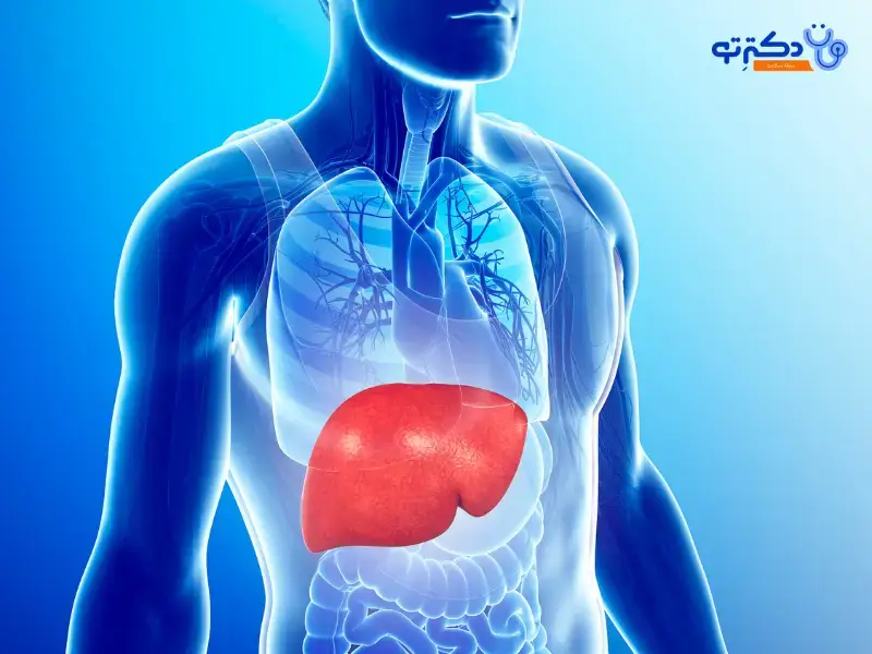 Symptoms of fatty liver and ways to treat it